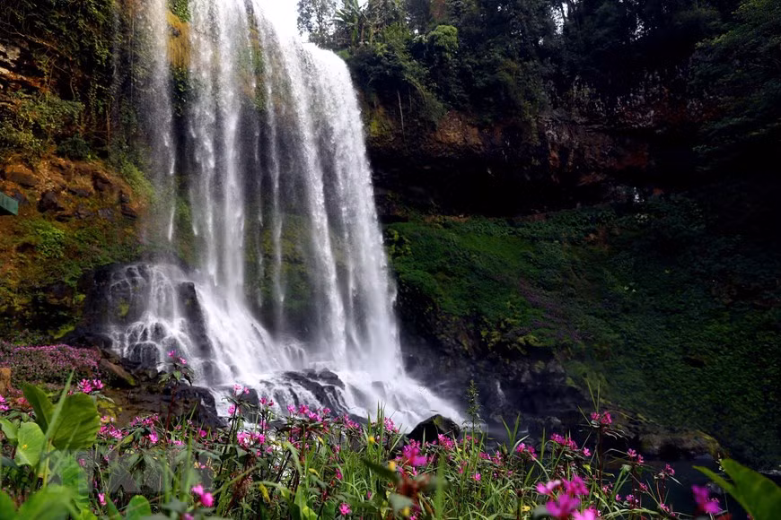 Xung quanh tháp Đambri luôn có các khóm hoa nở quanh năm tô điểm thêm cho vẻ đẹp nơi đây.