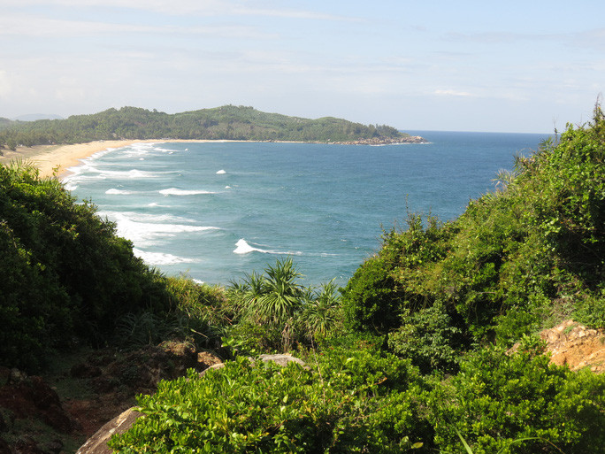  Núi đồi ven biển Sa Huỳnh là nơi sinh sống của nhiều đàn khỉ