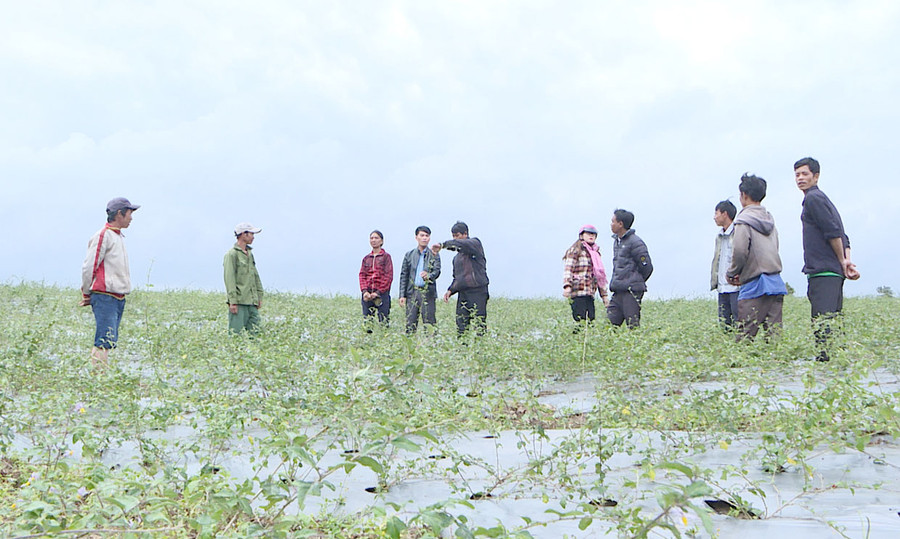 Kông Chro đẩy mạnh phong trào "Dân vận khéo" ảnh 1 Hội viên Nông hội làng Kước (xã Sró, huyện Kông Chro) trao đổi kinh nghiệm sản xuất. Ảnh: Lê Na