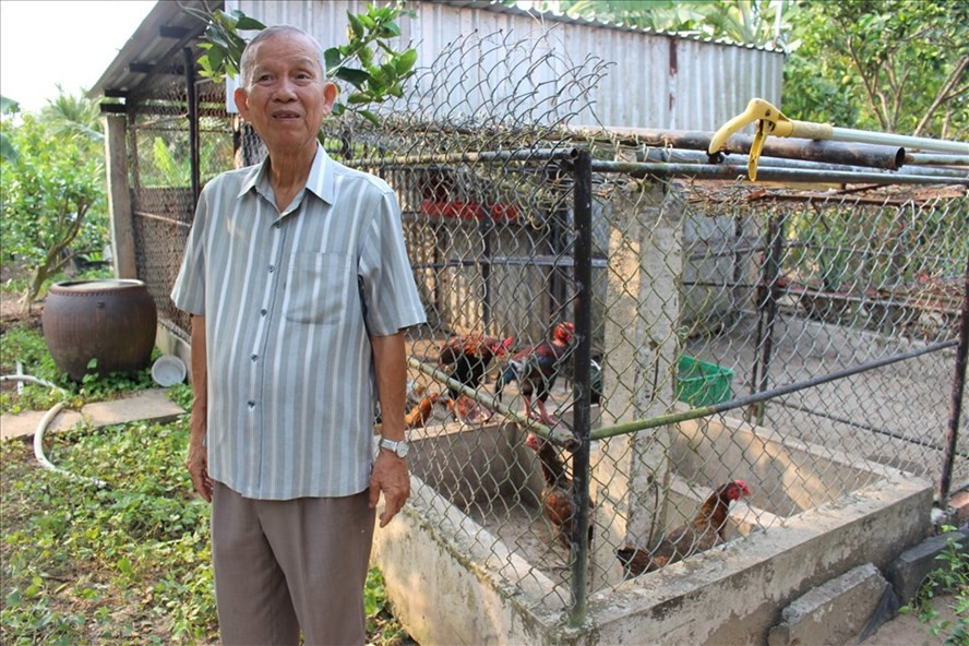 Ông Hai Nghĩa nuôi nhiều gà, cá chủ yếu để tặng cho bà con lối xóm. Ảnh: K.Q Ông Hai Nghĩa nuôi nhiều gà, cá chủ yếu để tặng cho bà con lối xóm. Ảnh: K.Q