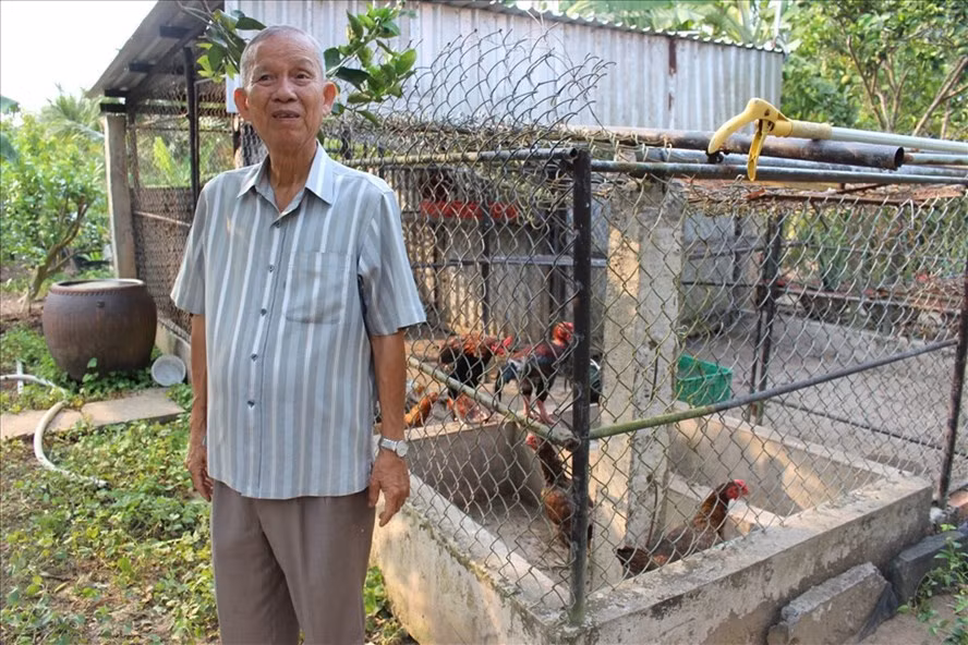 Ông Hai Nghĩa nuôi nhiều gà, cá chủ yếu để tặng cho bà con lối xóm. Ảnh: K.Q