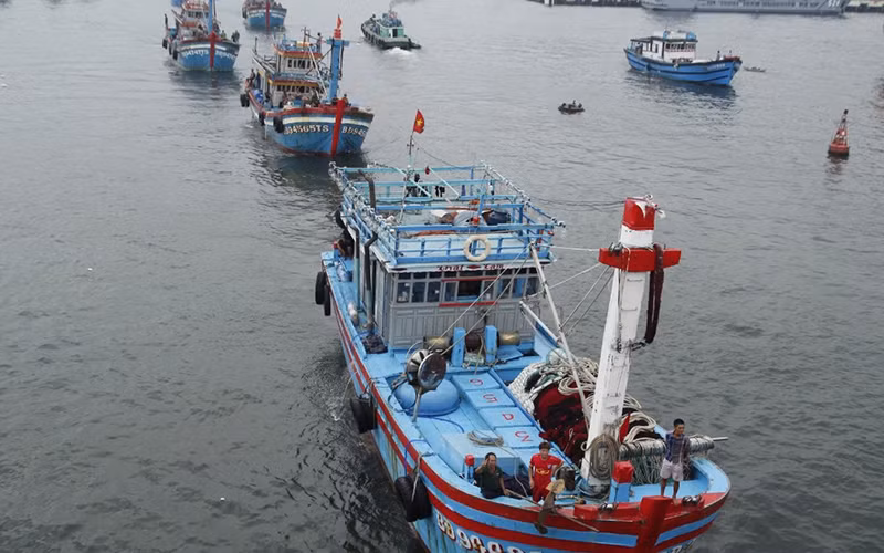 Những hải trình mang vị đời thấm ngọt.