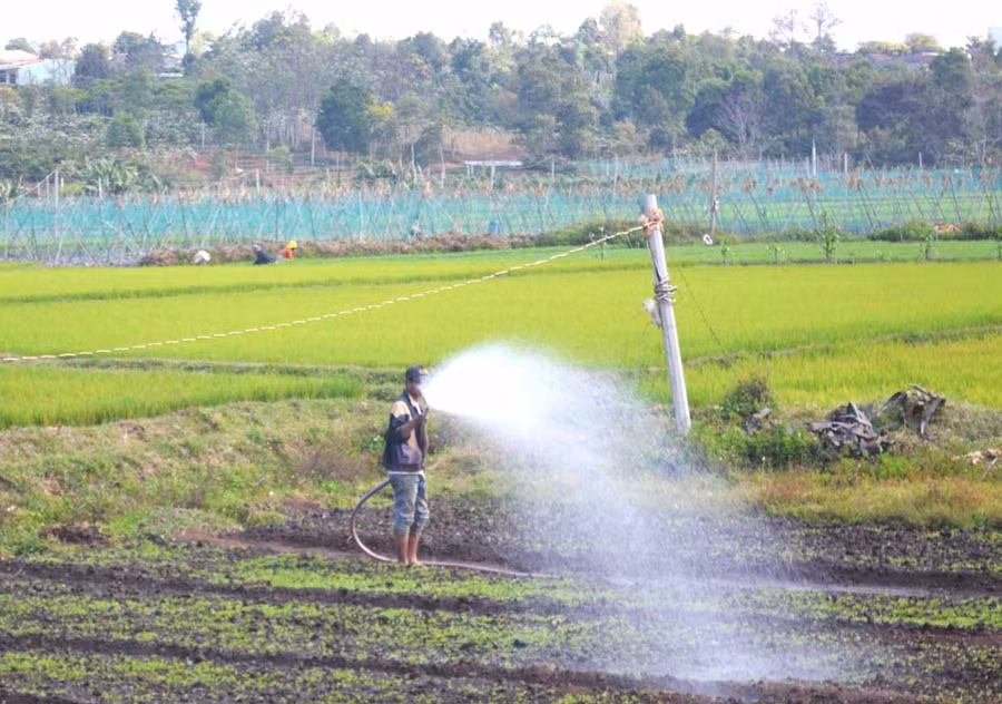 Người dân làng Piơng (xã A Dơk) tưới nước cho rau màu. Ảnh: Hoàng Cư