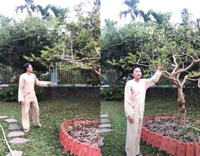 Hoài Linh chăm sóc cây cảnh lúc rảnh rỗi.