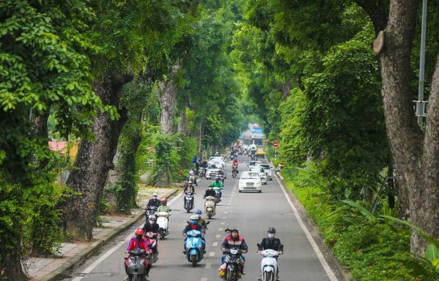 Con đường Hoàng Diệu, một trong những con đường đẹp nhất Thủ đô với hàng cây xà cừ cổ kính. (Ảnh: Minh Sơn/Vietnam+) Con đường Hoàng Diệu, một trong những con đường đẹp nhất Thủ đô với hàng cây xà cừ cổ kính. (Ảnh: Minh Sơn/Vietnam+)