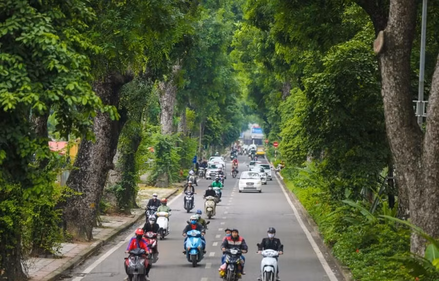 Con đường Hoàng Diệu, một trong những con đường đẹp nhất Thủ đô với hàng cây xà cừ cổ kính. (Ảnh: Minh Sơn/Vietnam+)