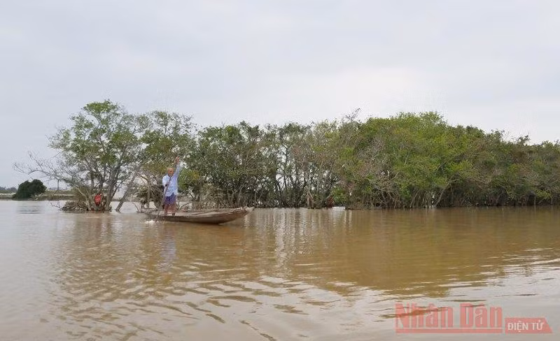  Một góc rú Chá mùa nước lụt.