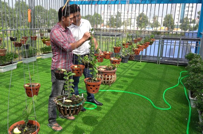  Vườn lan có hơn 35 giống, với trên 300 chậu lan đột biến. ẢNH: DUY TÂN