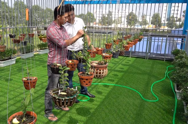  Vườn lan có hơn 35 giống, với trên 300 chậu lan đột biến. ẢNH: DUY TÂN