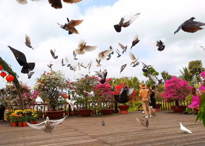  Nhiều người thích 