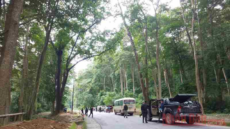 Từ nhiều năm nay, “Khu rừng đặc dụng săng lẻ” đã trở thành điểm dừng chân quen thuộc của hầu hết du khách.