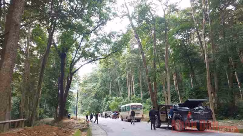 Từ nhiều năm nay, “Khu rừng đặc dụng săng lẻ” đã trở thành điểm dừng chân quen thuộc của hầu hết du khách. Từ nhiều năm nay, “Khu rừng đặc dụng săng lẻ” đã trở thành điểm dừng chân quen thuộc của hầu hết du khách.