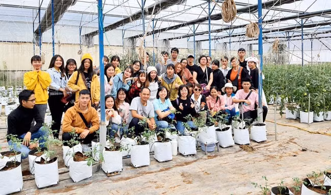 Nhiều sinh viên tại các trường đại học được tham gia thực tập làm nông nghiệp công nghệ cao thực tiễn tại các trang trại của HTX Thủy Canh Việt.