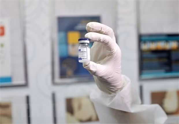  Vắcxin Sputnik V phòng COVID-19. (Ảnh minh họa: THX/TTXVN)