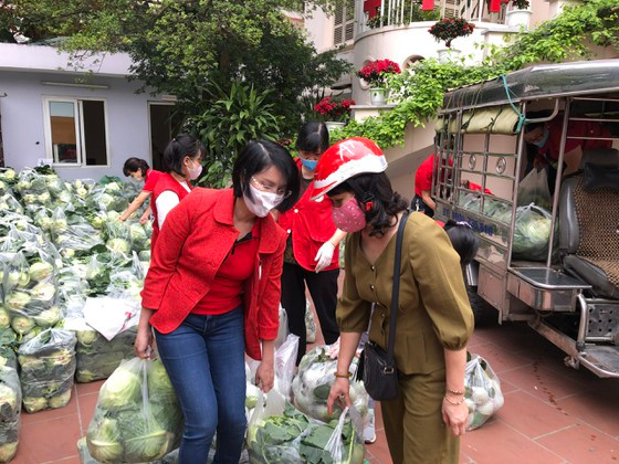 Chiến dịch "Chung sức cùng người dân tiêu thụ nông sản" sẽ làm giảm bớt khó khăn cho bà con nông dân những nơi có dịch Covid-19 Chiến dịch