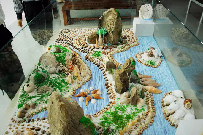 Bản đồ Việt Nam bao gồm hai quần đảo Hoàng Sa, Trường Sa được tái hiện bằng hàng trăm loại vỏ ốc