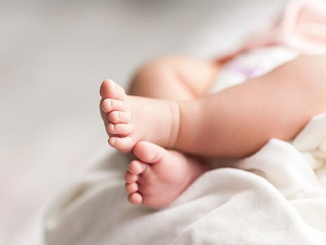 Cô Christina Ozturk dù chỉ mới 23 tuổi nhưng đã có 11 con- Ảnh minh họa: Shutterstock Cô Christina Ozturk dù chỉ mới 23 tuổi nhưng đã có 11 con- Ảnh minh họa: Shutterstock