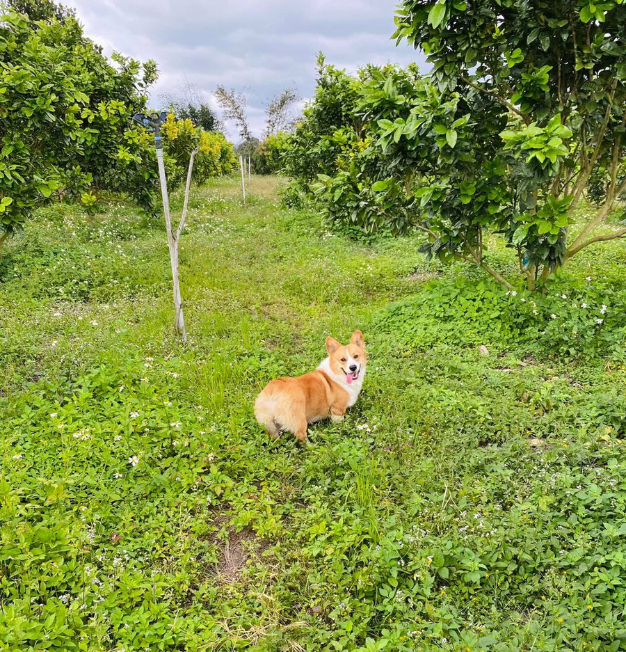  Cuộc sống ở gần thiên nhiên thật vui...