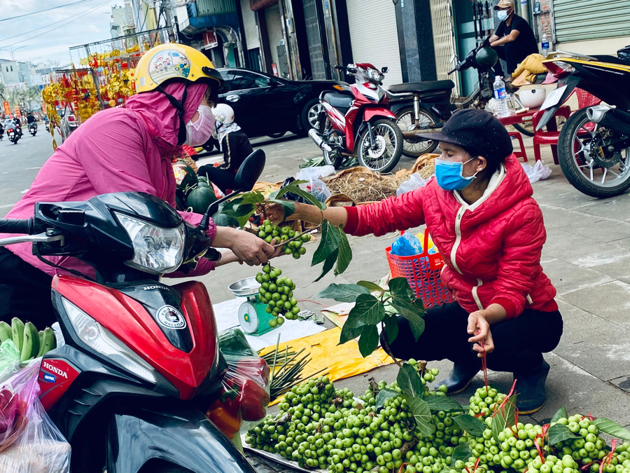 Người dân chọn mua quả sung để chưng mâm ngũ quả trên bàn thờ gia tiên dịp Tết. Ảnh: Hồng Thi Người dân chọn mua quả sung để chưng mâm ngũ quả trên bàn thờ gia tiên dịp Tết. Ảnh: Hồng Thi.
