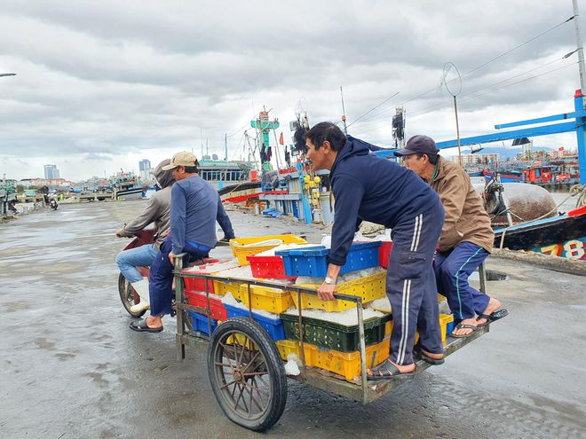 Ngư dân vui mừng vì chuyến tàu đánh cá những ngày cuối năm thắng lợi - ẢNH: HUY ĐẠT Ngư dân vui mừng vì chuyến tàu đánh cá những ngày cuối năm thắng lợi - ẢNH: HUY ĐẠT