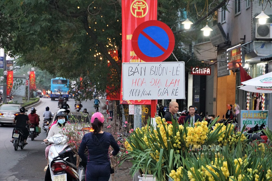  Những tấm biển kích cầu đồng loạt mọc lên. Ảnh: Tùng Giang.