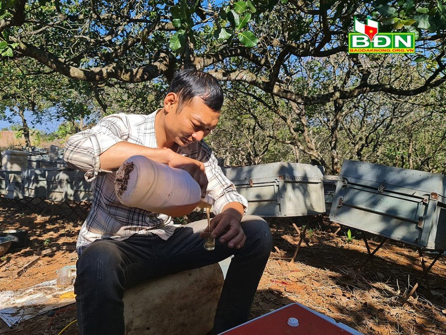 Mỗi lít mật ong anh Long bán tại vườn từ 80.000-100.000 đồng