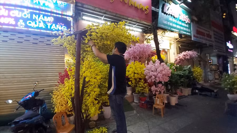 Cây mai giả này được anh Đông chọn mua về trưng bày ở nhà hàng. Ảnh: Huân Cao