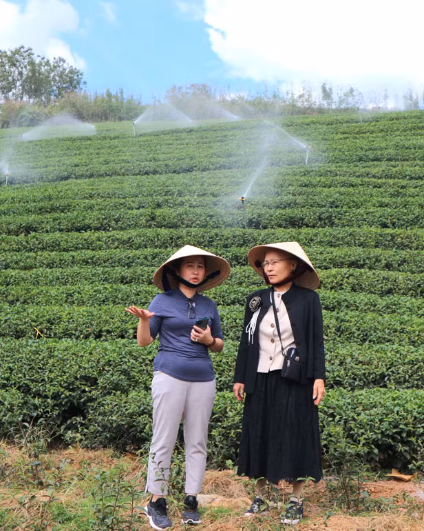 Chị Như (trái) trao đổi với bà Nguyễn Tố Oanh, Giám đốc Trung tâm Trưng bày sản vật Tây Nguyên thành phố Bảo Lộc