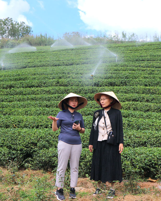Chị Như (trái) trao đổi với bà Nguyễn Tố Oanh, Giám đốc Trung tâm Trưng bày sản vật Tây Nguyên thành phố Bảo Lộc Chị Như (trái) trao đổi với bà Nguyễn Tố Oanh, Giám đốc Trung tâm Trưng bày sản vật Tây Nguyên thành phố Bảo Lộc