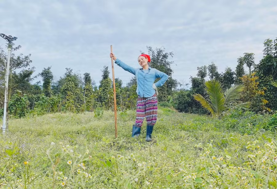 và Mây ở Đắk Lắk, làm nông nghiệp sạch - Ảnh NVCC