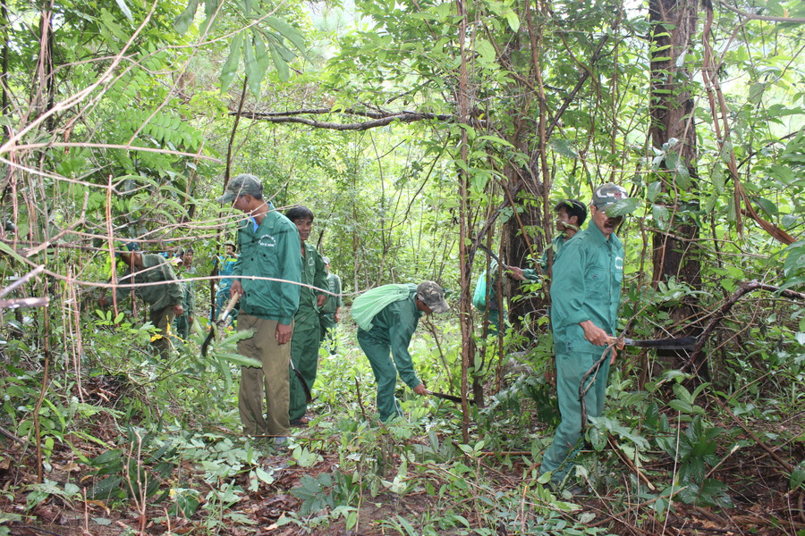Lực lượng chuyên trách bảo vệ rừng Ban quản lý rừng phòng hộ Ia Ly phối hợp với các hộ nhận khoán xã Ia Dreng( Chư Păh) tuần tra