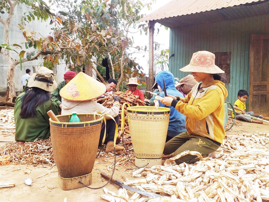 Gùi của ông Kpuih Đoàn được nhiều người dân trong làng mua về sử dụng. Ảnh: Nhật Hào Gùi của ông Kpuih Đoàn được nhiều người dân trong làng mua về sử dụng