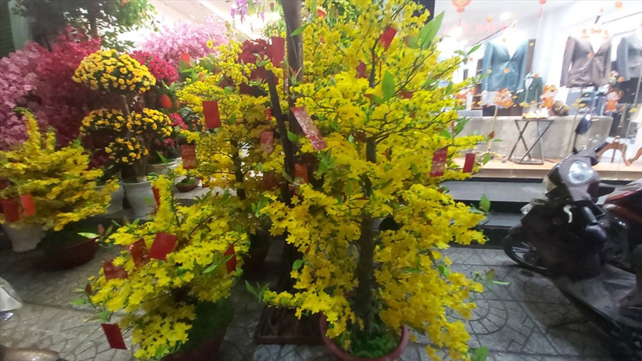 Hoa mai và đào được nhiều khách hàng lựa chọn nhất. Ảnh: Huân Cao