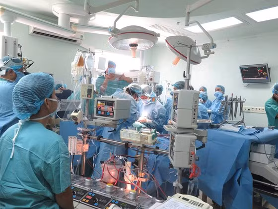  Nguồn máu hiến tặng được sử dụng trong ghép tạng tại Bệnh viện Trung ương Huế