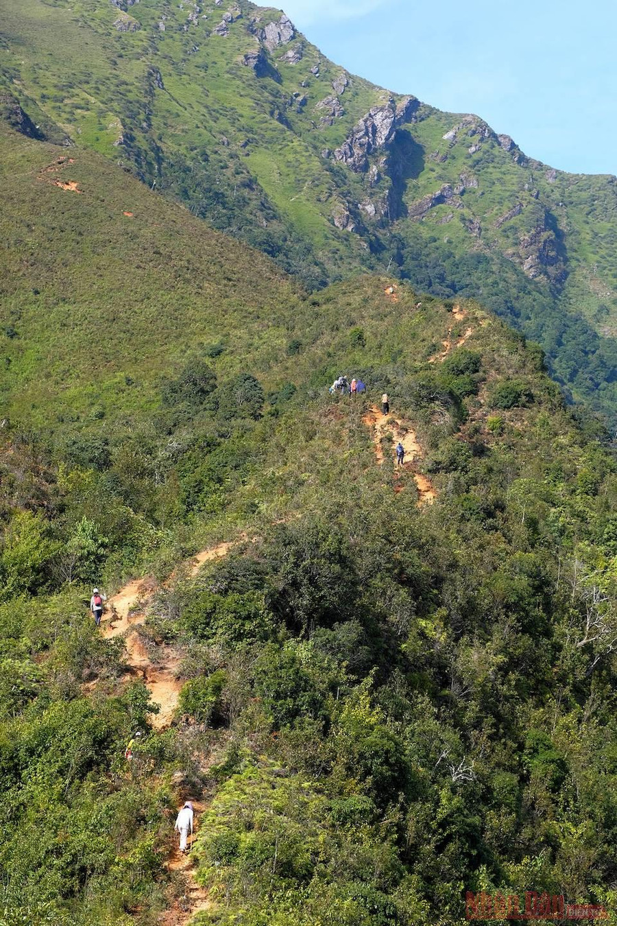  Rừng cũng thay đổi từ rừng rậm nguyên sinh sang kiểu rừng lùn tán thấp.