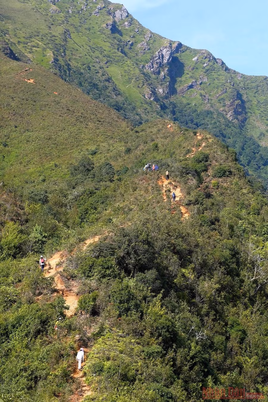  Rừng cũng thay đổi từ rừng rậm nguyên sinh sang kiểu rừng lùn tán thấp.