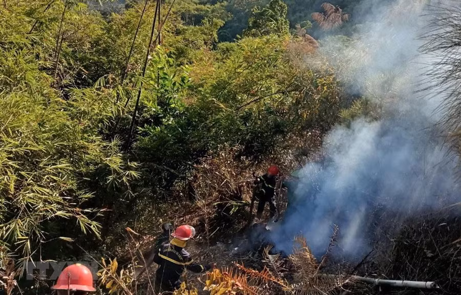 Lực lượng chức năng khống chế vụ cháy rừng. (Ảnh: TTXVN phát)