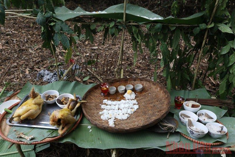 Lễ vật đơn sơ nhưng đậm tính linh thiêng của người Pu Péo dâng lên thần rừng. (Ảnh: Ngọc Thành). Lễ vật đơn sơ nhưng đậm tính linh thiêng của người Pu Péo dâng lên thần rừng. (Ảnh: Ngọc Thành).
