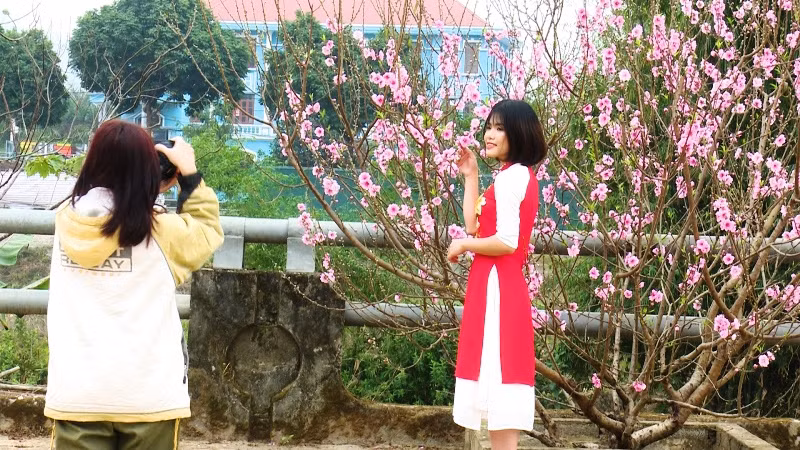  Hoa đào dọc Sông Cầu, TP Bắc Kạn thu hút người trẻ đến chụp ảnh kỷ niệm.