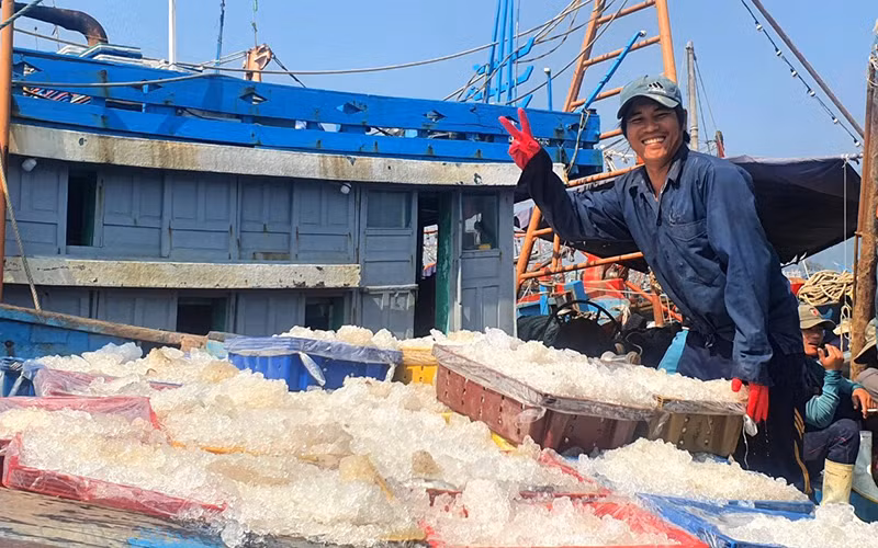  Nụ cười của ngư dân khi tàu cập cảng cá Thọ Quang.