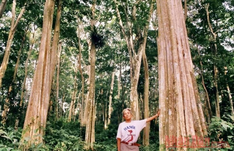 Cụ Vi Chính Nghĩa - cố Bí thư Huyện ủy Tương Dương, người tiên phong trong công cuộc bảo vệ, giữ gìn cánh rừng săng lẻ.
