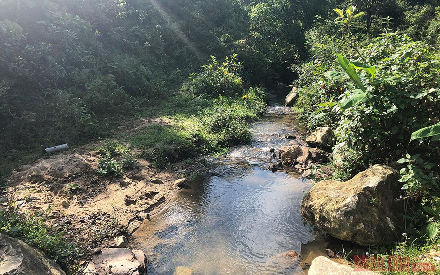 Con suối chảy trên đường vào homestay.