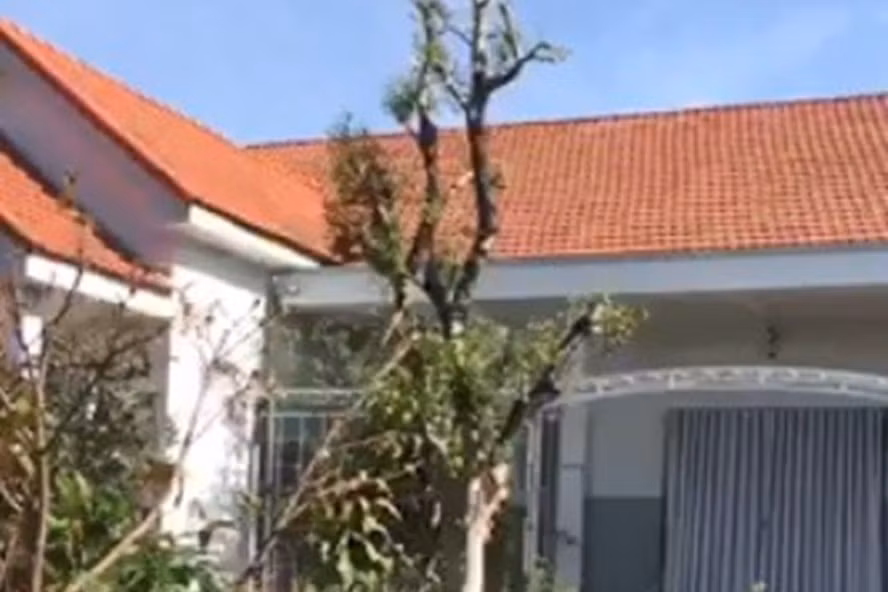 Hình ảnh cây khế được trồng trong vườn nghi là của Đội Quản lý thị trường số 2. Ảnh ĐP