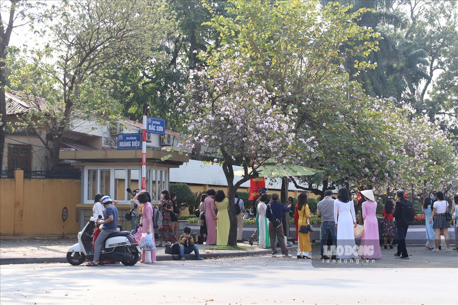 Hàng hoa ban ở Bắc Sơn- một địa điểm quen thuộc thu hút nhiều người đến check-in. Mọi người đến đây thường mất phí trông xe, hoặc nếu muốn thay đồ thì mất thêm phí với giá 10.000đ/người/lượt.