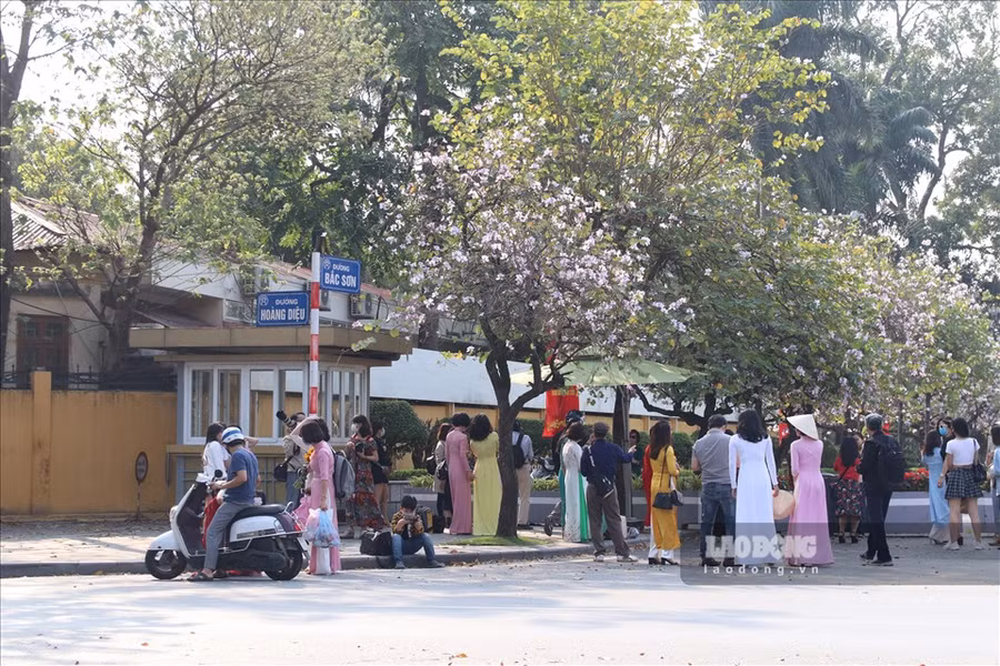 Hàng hoa ban ở Bắc Sơn- một địa điểm quen thuộc thu hút nhiều người đến check-in. Mọi người đến đây thường mất phí trông xe, hoặc nếu muốn thay đồ thì mất thêm phí với giá 10.000đ/người/lượt.