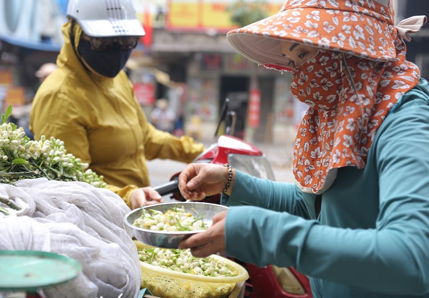 Người dân chọn mua hoa bưởi trên phố Lò Đúc (ảnh chụp ngày 22/2/2021). (Ảnh: Hoàng Hiếu/TTXVN)  Người dân chọn mua hoa bưởi trên phố Lò Đúc (ảnh chụp ngày 22/2/2021). (Ảnh: Hoàng Hiếu/TTXVN)
