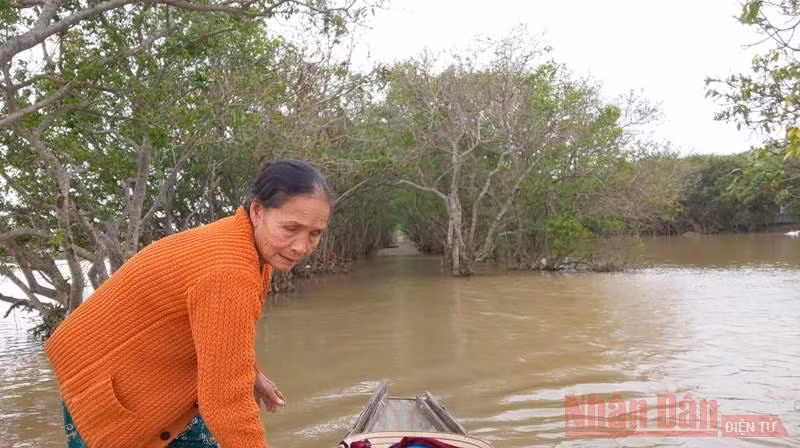  Hơn ba mươi năm qua, bà Hồng đã ở bên, cùng chồng coi sóc rú.