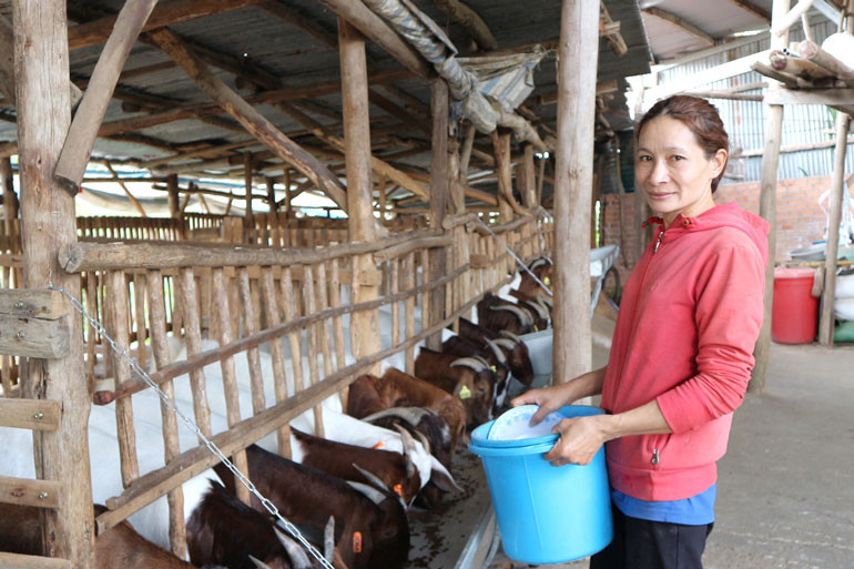 Trại dê nhà anh chị Tuy - Tươi Trại dê nhà anh chị Tuy - Tươi