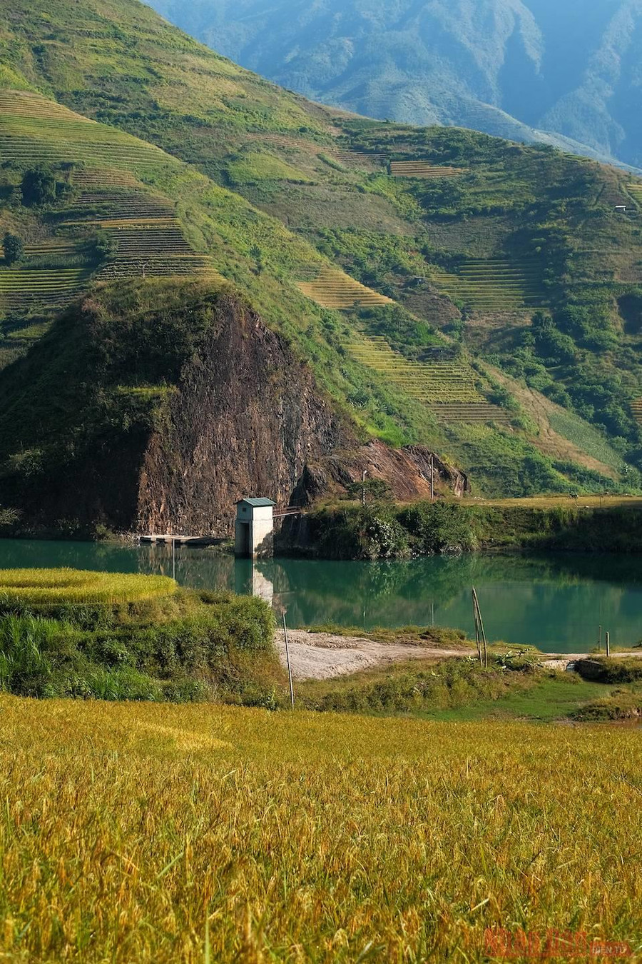  Khung cảnh tuyệt đẹp trên đường từ trung tâm huyện Trạm Tấu vào Mỏ Chì, ruộng bậc thang chính là một trong những 