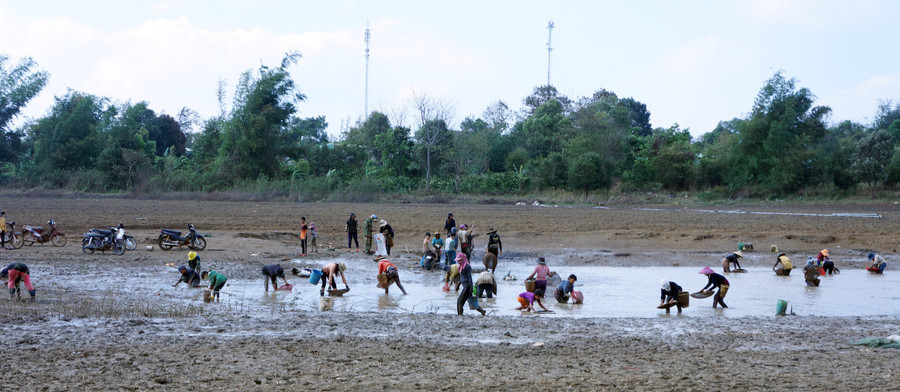 Và xem người dân bắt cá tại những khu hồ cạn nước. Ảnh: Hùng Hoa Lư Và xem người dân bắt cá tại những khu hồ sắp cạn nước. Ảnh: Hùng Hoa Lư